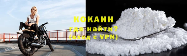 Альфа ПВП Гусев