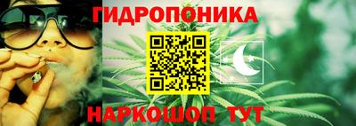 каннабис Изобильный