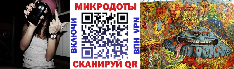 купить наркотики сайты  Новоуральск  Галлюциногенные грибы Psilocybe 