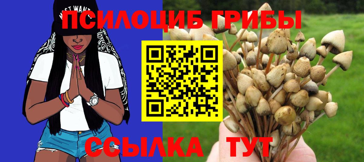 Новоуральск  Галлюциногенные грибы Cubensis  купить наркотик  Вход с VPN 