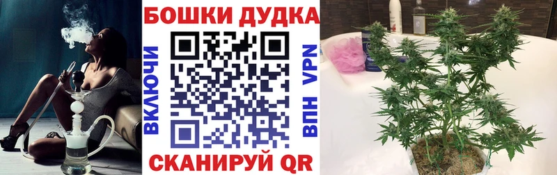 Бошки марихуана гибрид Новоуральск